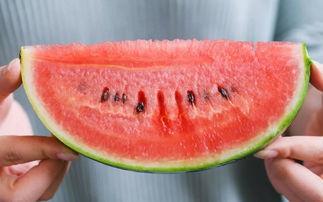 mcn杭州吃瓜,一场吃瓜盛宴背后的行业真相