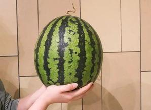 mcn杭州吃瓜,一场吃瓜盛宴背后的行业真相