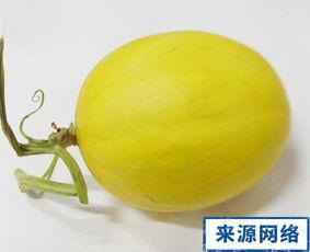 怀孕可以吃瓜种吗,孕妇可以吃瓜种吗？