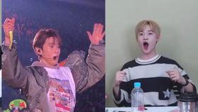 吃瓜少年创作,揭秘娱乐圈背后的那些事儿