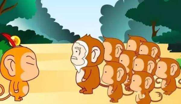 猴王吃瓜素材图片,瓜果飘香乐翻天