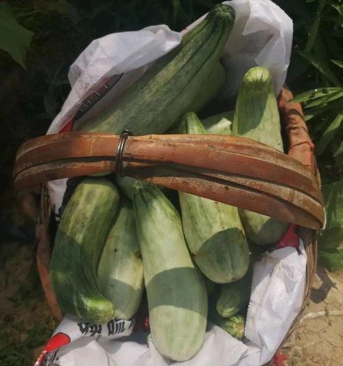 带货吃瓜女,揭秘网红女生的热门话题与消费现象