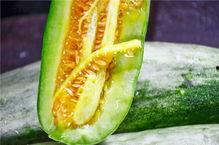 安阳网红吃瓜,揭秘网络红人的幕后故事