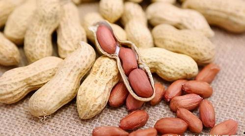 吃花生有什么好瓜。