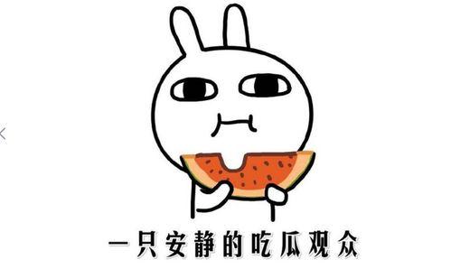 吃瓜但不吃瓜什么意思,网络流行语的深层含义
