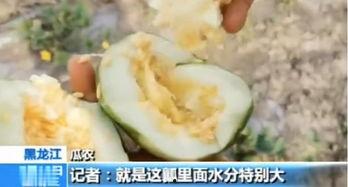 临沂大型吃瓜视频