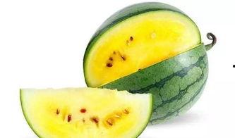 临沂大型吃瓜视频