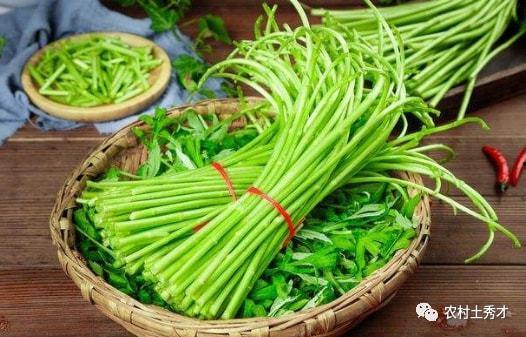 胡萝卜能和蒿瓜一起吃吗