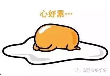 吃瓜群众感情被骗了,揭秘网络爱情的陷阱与反思