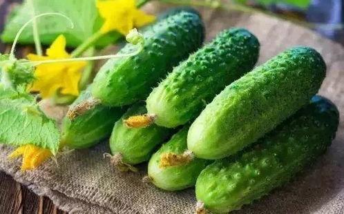 夏天吃一瓜是什么瓜,一瓜解千愁——探寻夏日最佳消暑瓜果