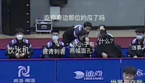 国乒男团吃瓜,揭秘赛场背后的吃瓜故事