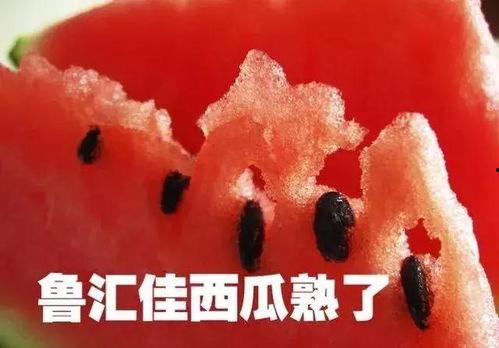 四月吃瓜如吃冰锥