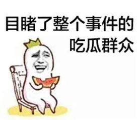 舍友吃瓜表情搞笑视频,视频笑料横生！
