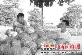 吃瓜小村民,乡村生活里的趣味观察